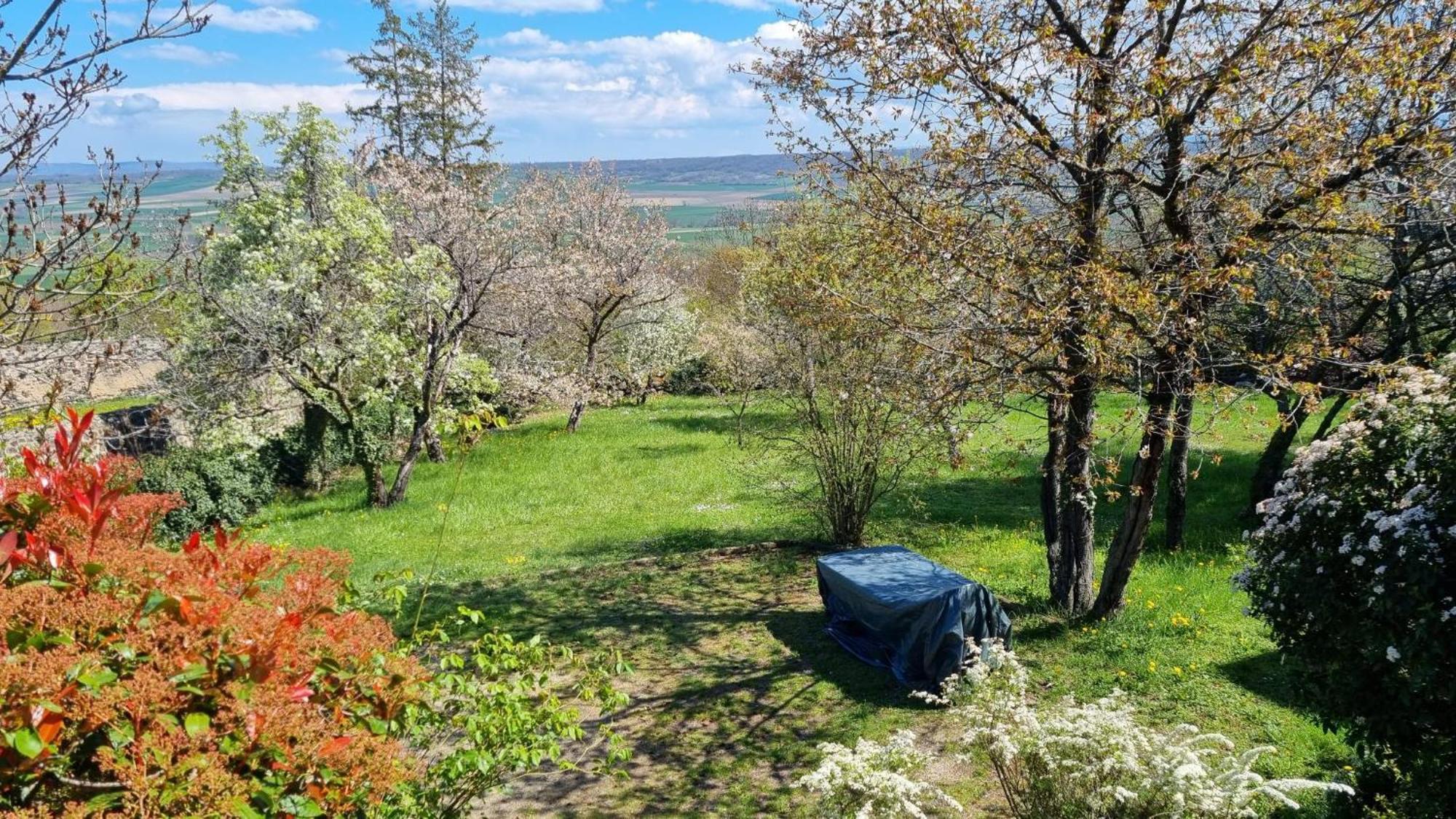 Vila L'Oustalou - Wifi - Jardin - Campagne Villeneuve  Exteriér fotografie
